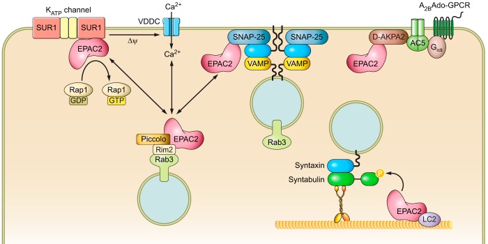 FIGURE 6.