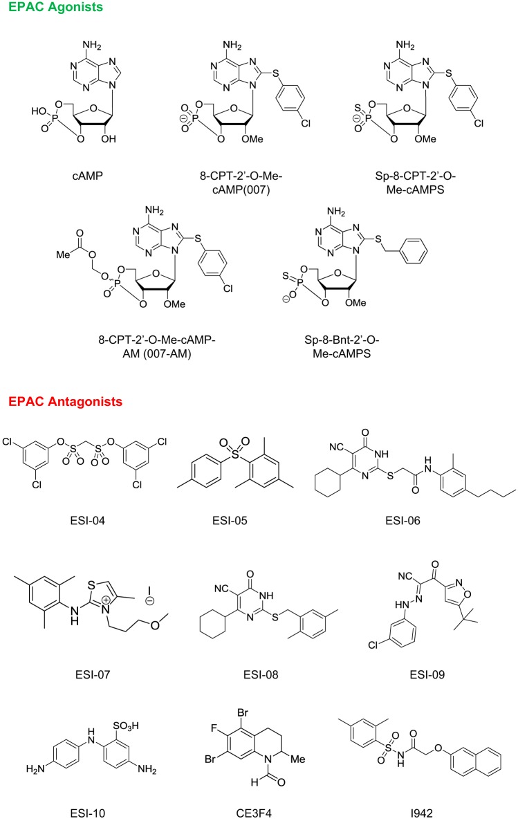 FIGURE 14.