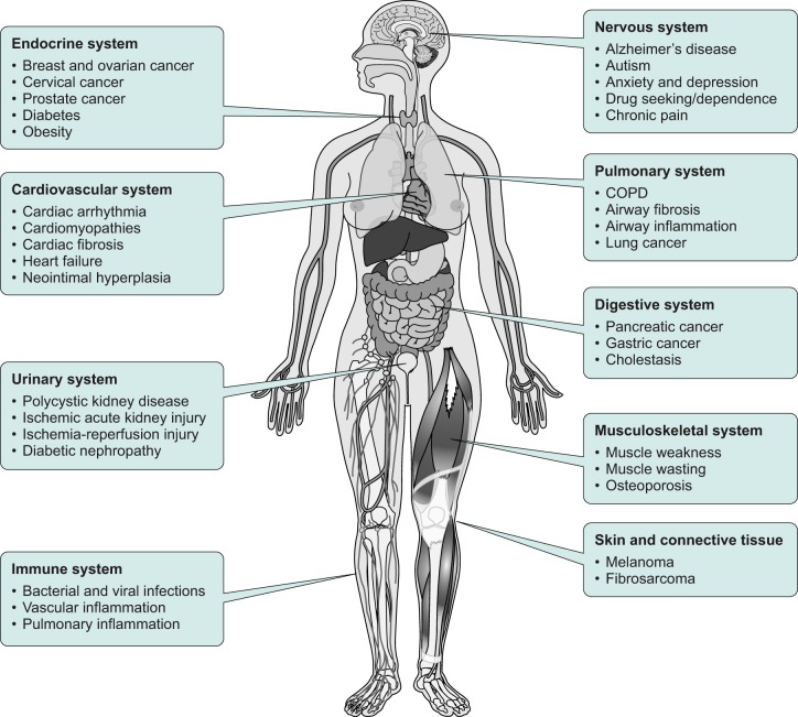 FIGURE 10.