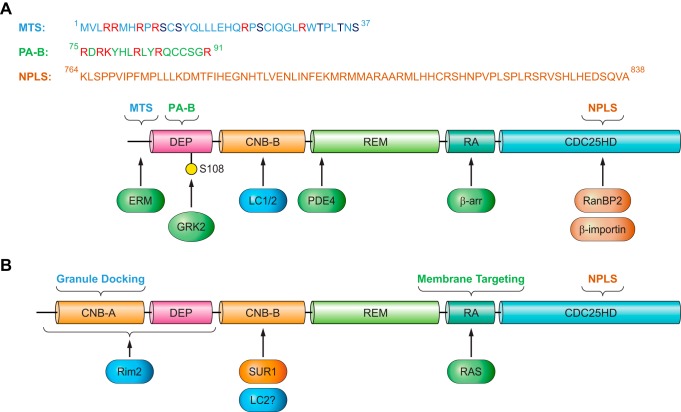 FIGURE 4.