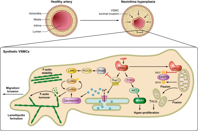 FIGURE 11.