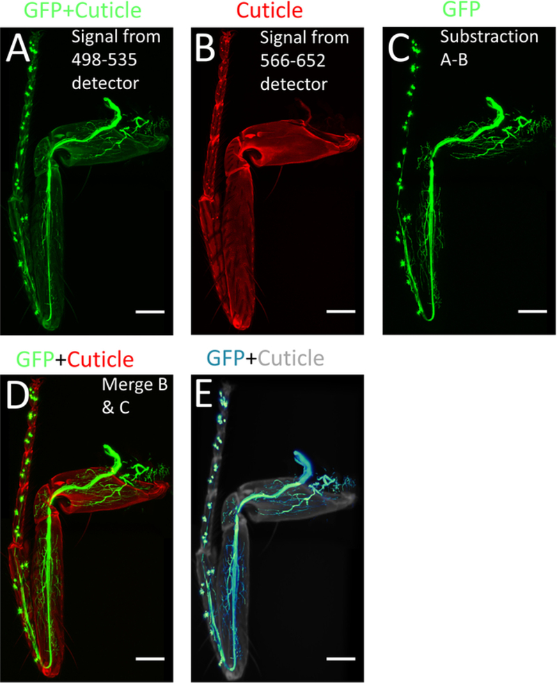 Figure 4: