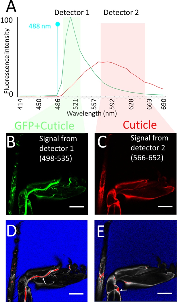 Figure 3: