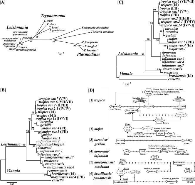 FIG. 6.