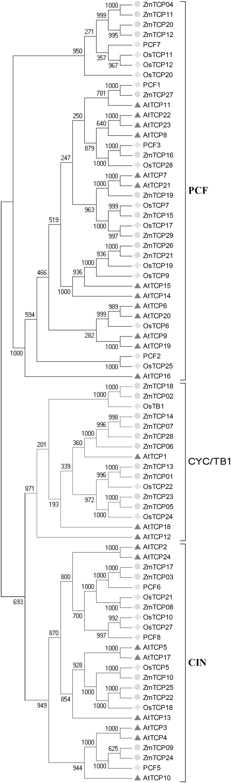 Fig. 2