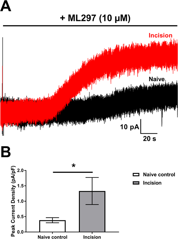 Figure 2: