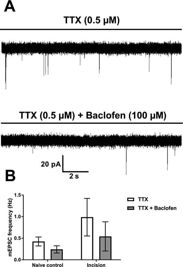 Figure 5: