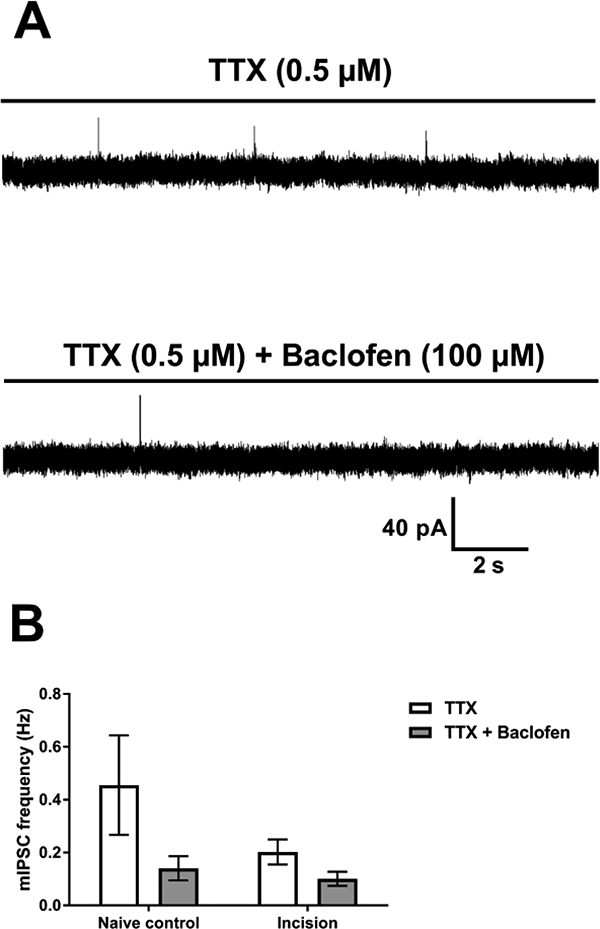 Figure 6: