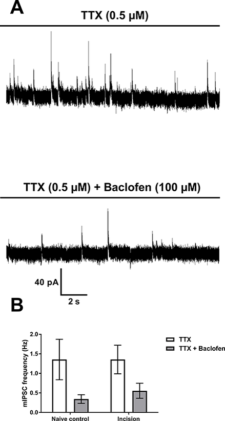 Figure 4: