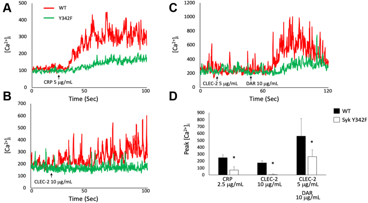 Figure 7