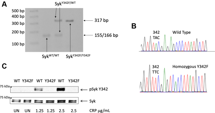 Figure 1