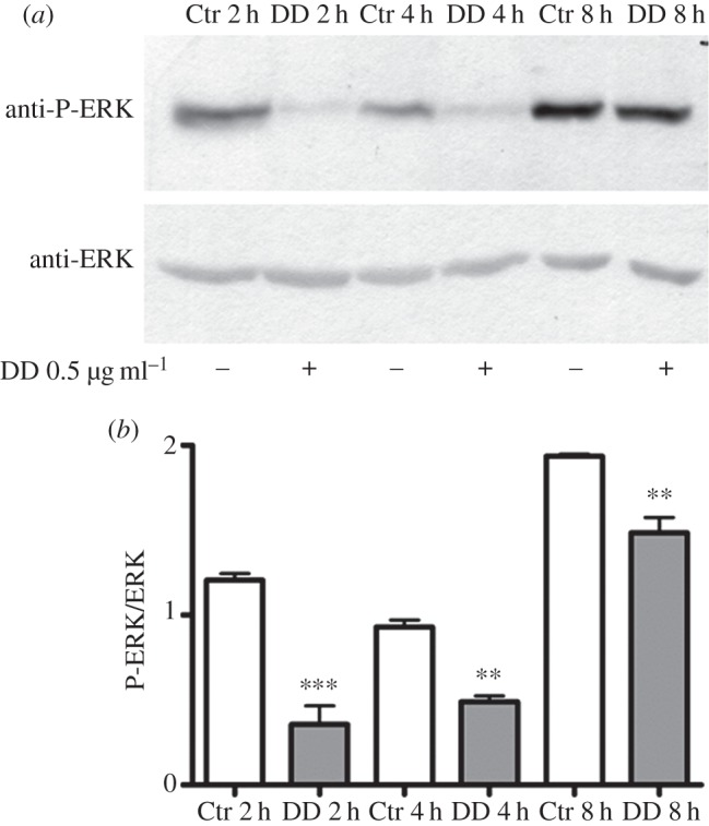 Figure 5.