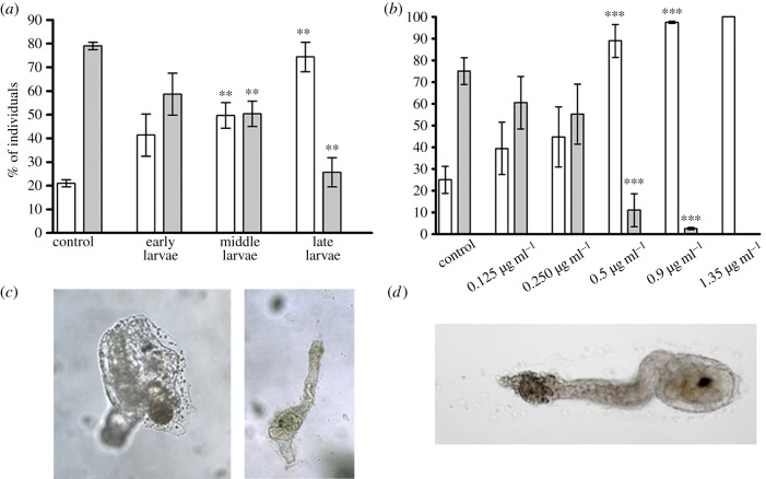 Figure 1.