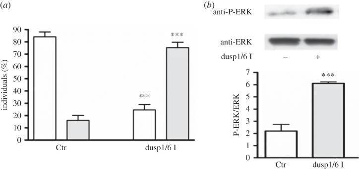 Figure 7.