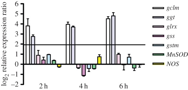 Figure 3.