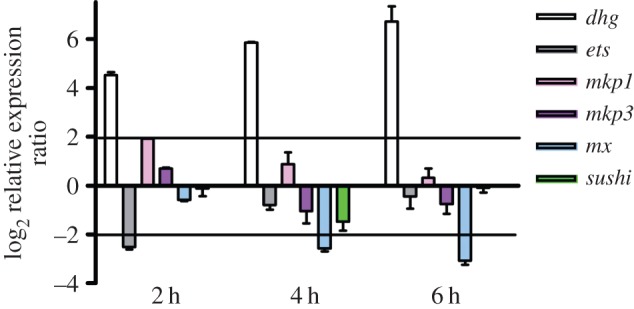 Figure 6.