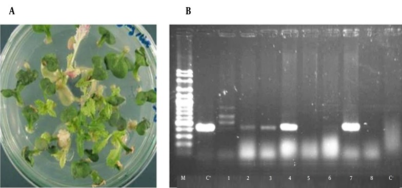 Figure 4.