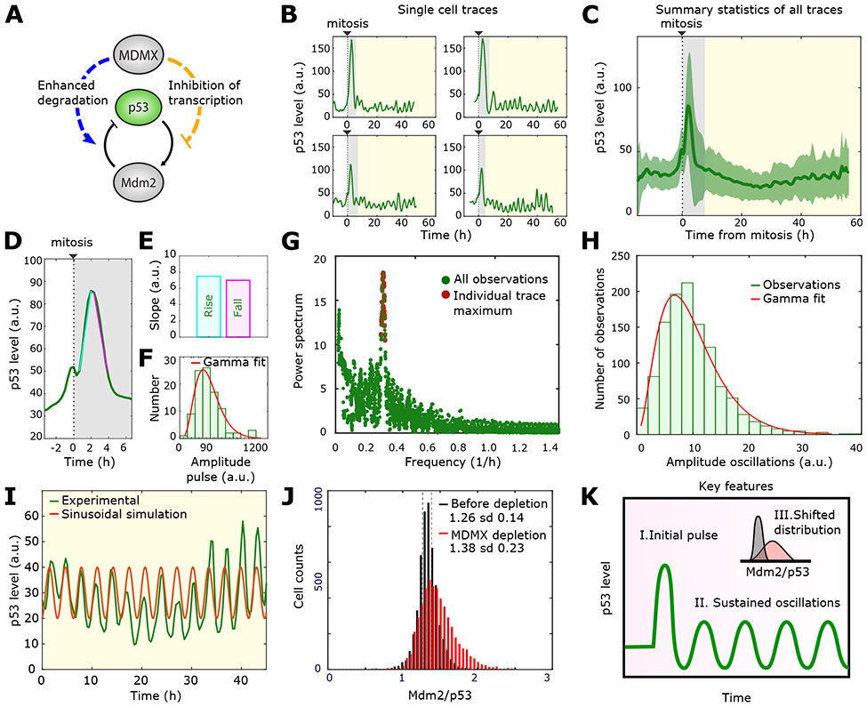 Figure 1: