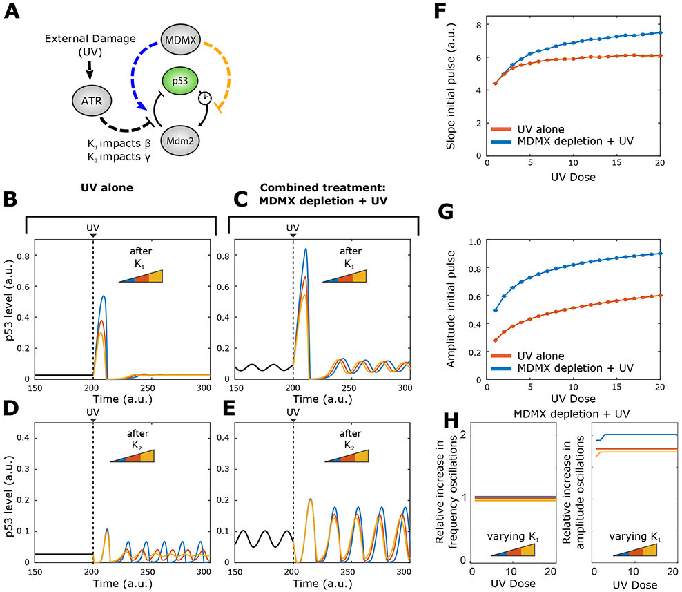 Figure 3: