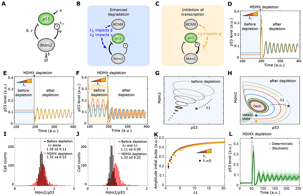 Figure 2: