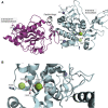 Figure 4