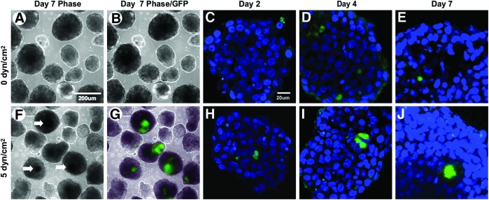 FIG. 6.