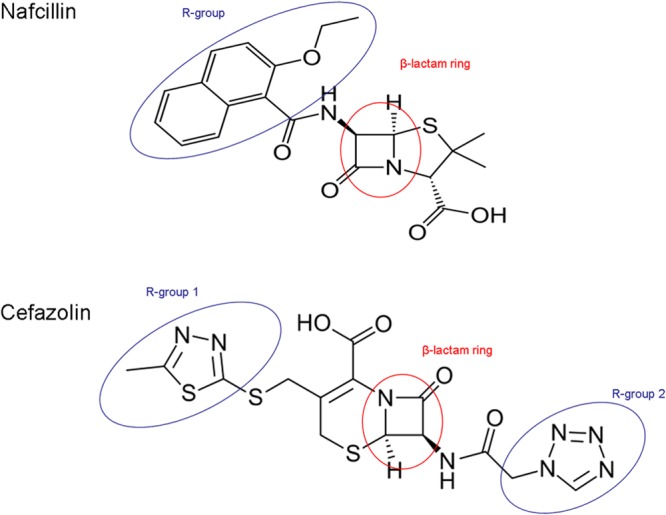 FIG 1