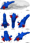 Figure 13