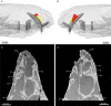 Figure 17