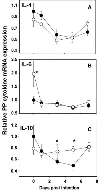 Fig. 9