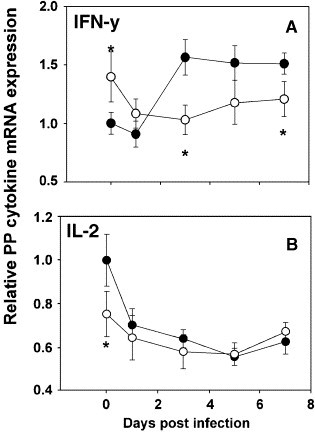 Fig. 8