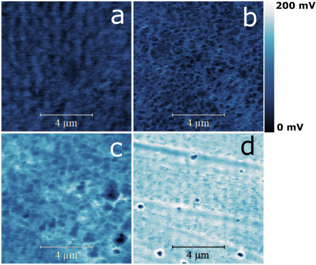 Figure 9