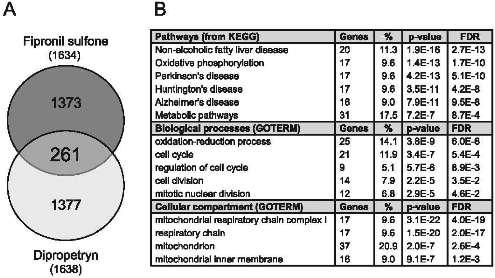 Fig. 10.