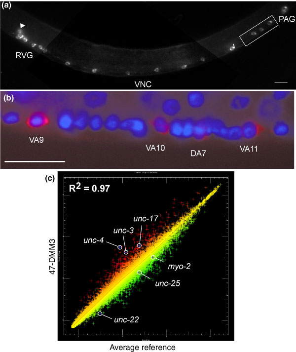 Figure 11