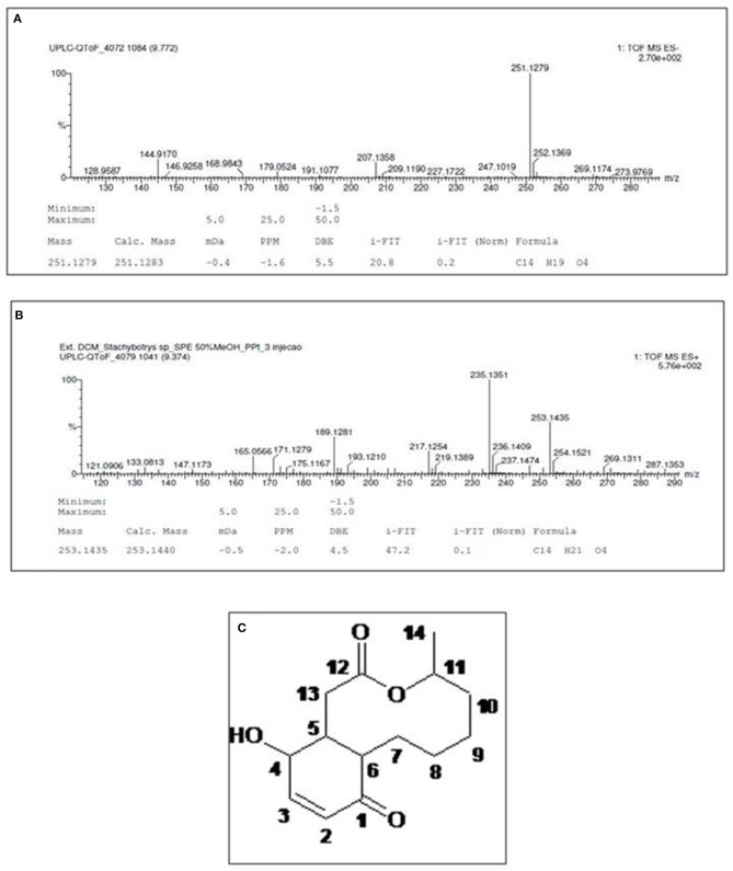 Figure 6