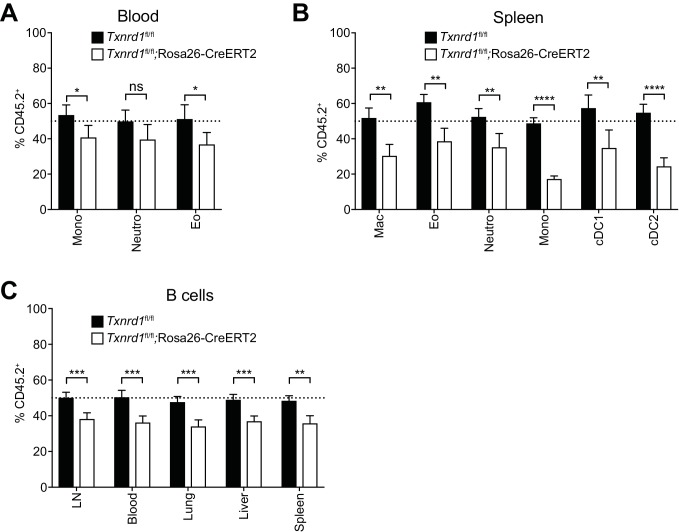 Figure 1—figure supplement 3.