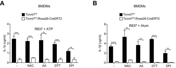 Figure 7—figure supplement 4.