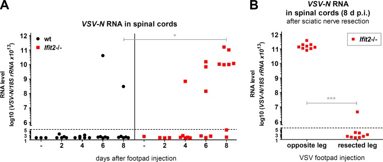 FIG 6