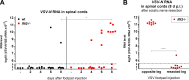 FIG 6