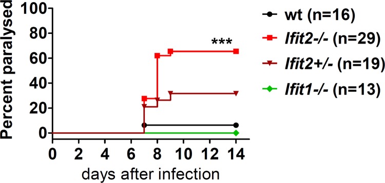 FIG 1