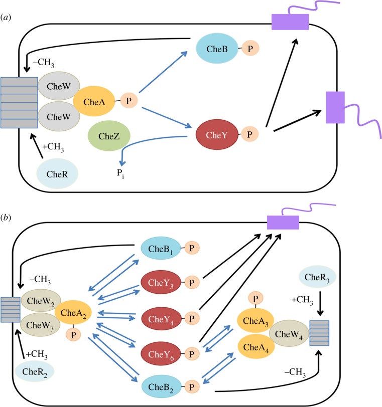 Figure 1.