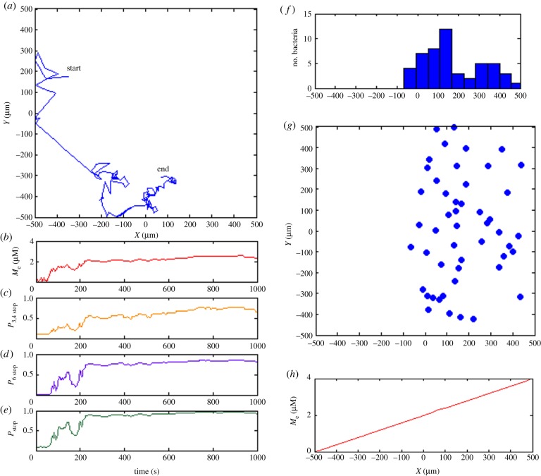 Figure 5.