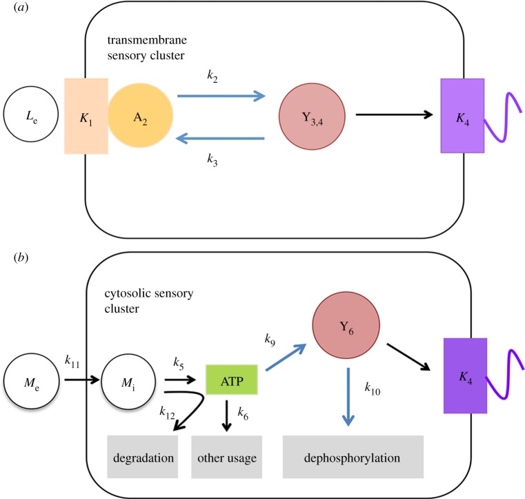 Figure 2.