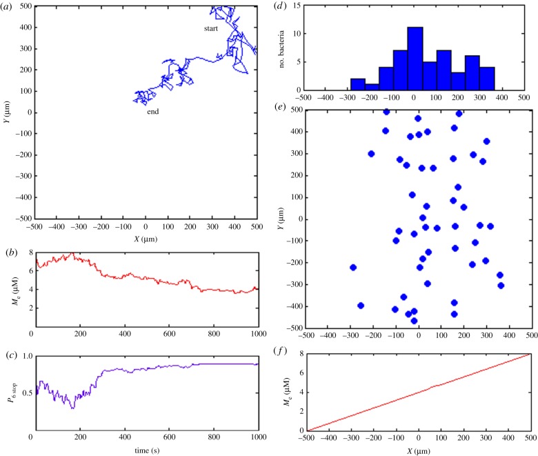 Figure 6.