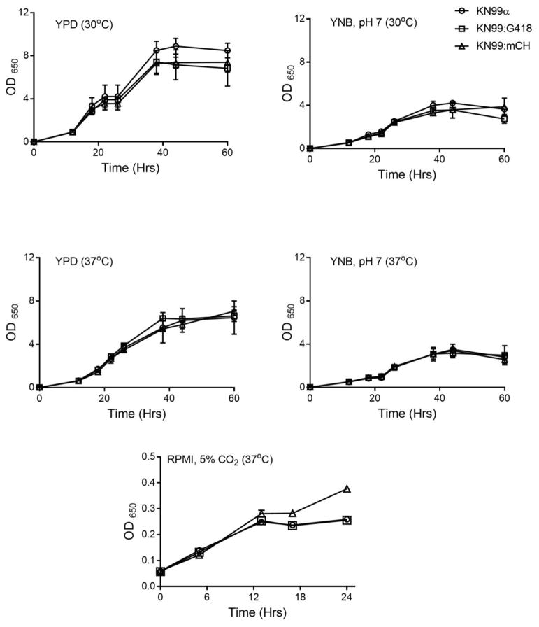 Fig. 4