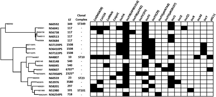 FIG. 1.