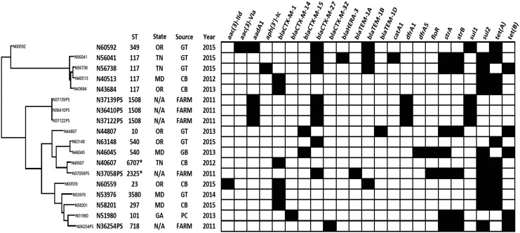 FIG. 2.