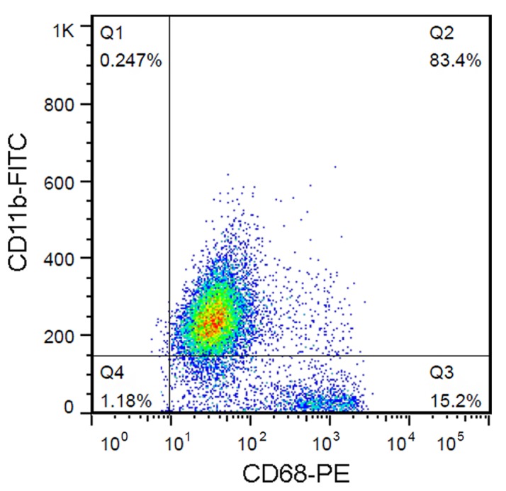 Figure 1.