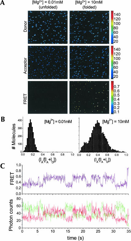 FIGURE 4.