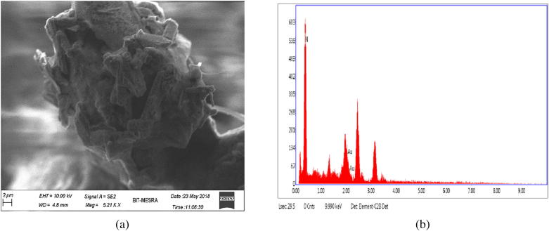 Fig. 2b